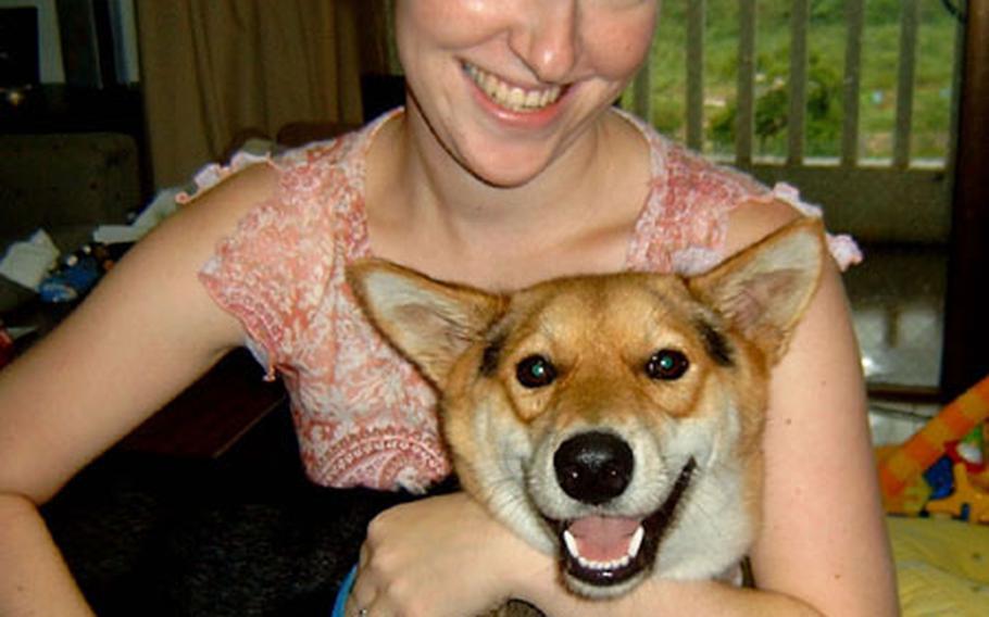 Vixen smiles at the camera with her new owner, Susanne Frey, at their apartment in Okinawa City. The mixed breed female dog was found abandoned on the Chibana Golf Course last Thursday. Her picture was immediately posted on the Okipets website and before the weekend, she was adopted by the Frey family.