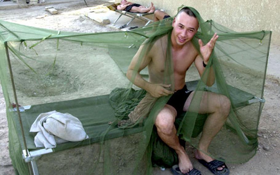 A soldier from the 82nd Airborne Division wakes from his outdoor cot at a camp in Baghdad.