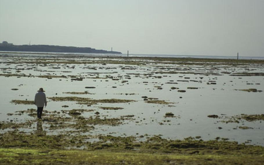 A beachcomber walks on top of the reef during low tide at Maeda Point looking for sea urchines. Although the area is considered tame by local divers, it can quickly turn deadly when the tides change.