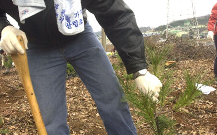 GIs bond with S. Koreans through tree planting | Stars and Stripes