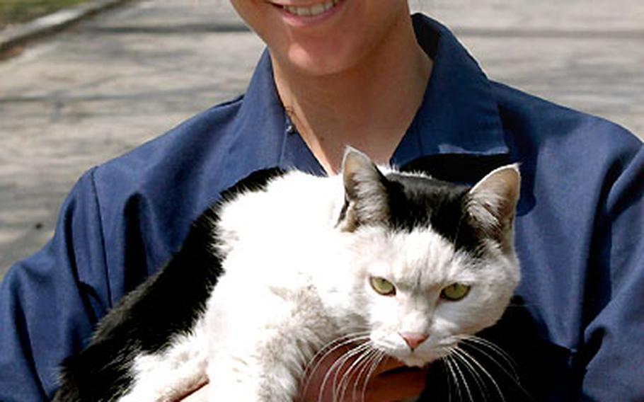 Animal care technician Spc. Heather Holub looks after the Camp Red Cloud mascot, Profile the cat.