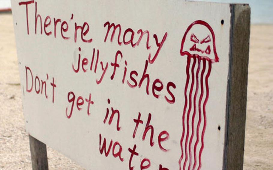 A sign posted in English at Araha Beach near Camp Foster warns of an infestation of habu jellyfish. Several Okinawa beaches have been closed due to the early arrival of the nearly transparent creatures.