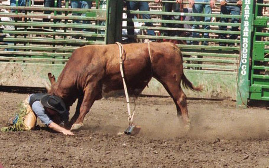 Navy Petty Officer 3rd Class Heath Snow tries to avoid a bull after getting thrown off it at the Ventura Rodeo in California in May. The Navy Seabee works as a professional bull rider in his spare time.