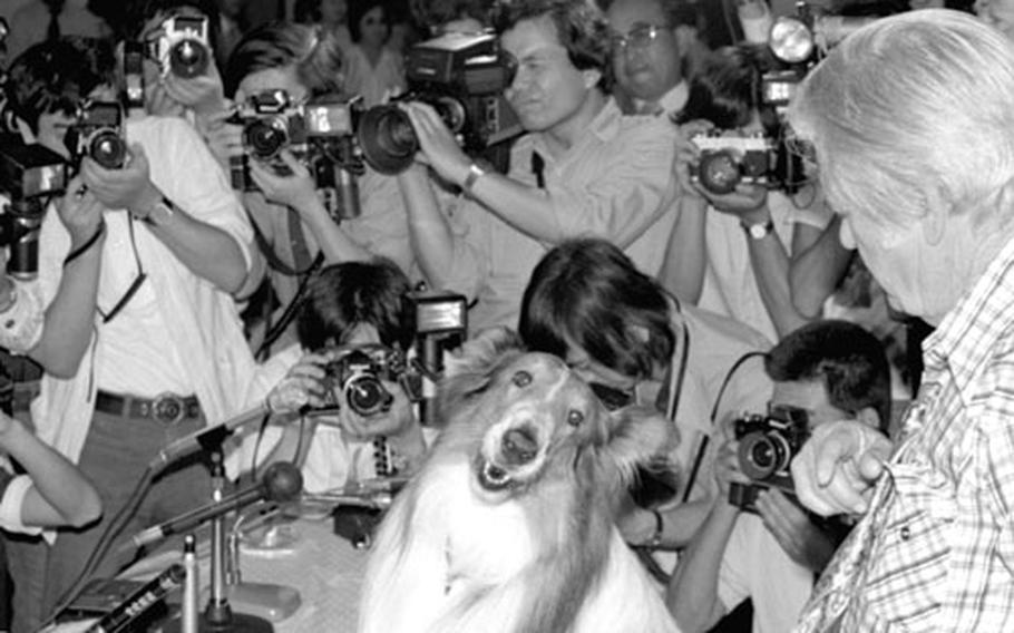 Lassie and Rudd Weatherwax meet the press.