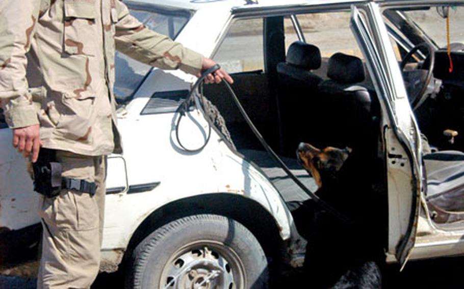 Lucy, a mixed breed of Rottweiler and German shepherd, sniffs a vehicle for plastic explosives and detonating chord Wednesday. Her handler, Lorry Botha, is a U.S. contractor from South Africa who works for Canine Associates International.