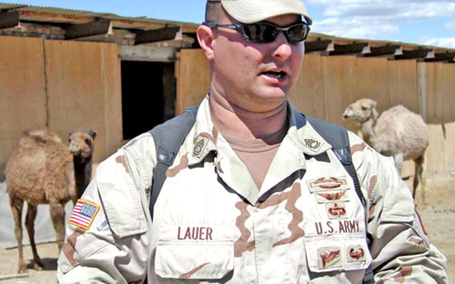 Sgt. 1st Class Frank Lauer, Forward Operating Base Orgun-E mayor, in front of the FOB&#39;s two camels in Afghanistan. They are used to haul equipment, along with a couple of donkeys.