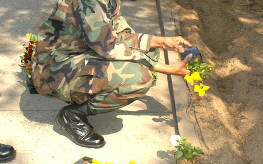Master Sgt. Arlita Crawford of Headquarters Headquarters Company, Area I, plants pansies outside the Area I Headquarters on Tuesday.