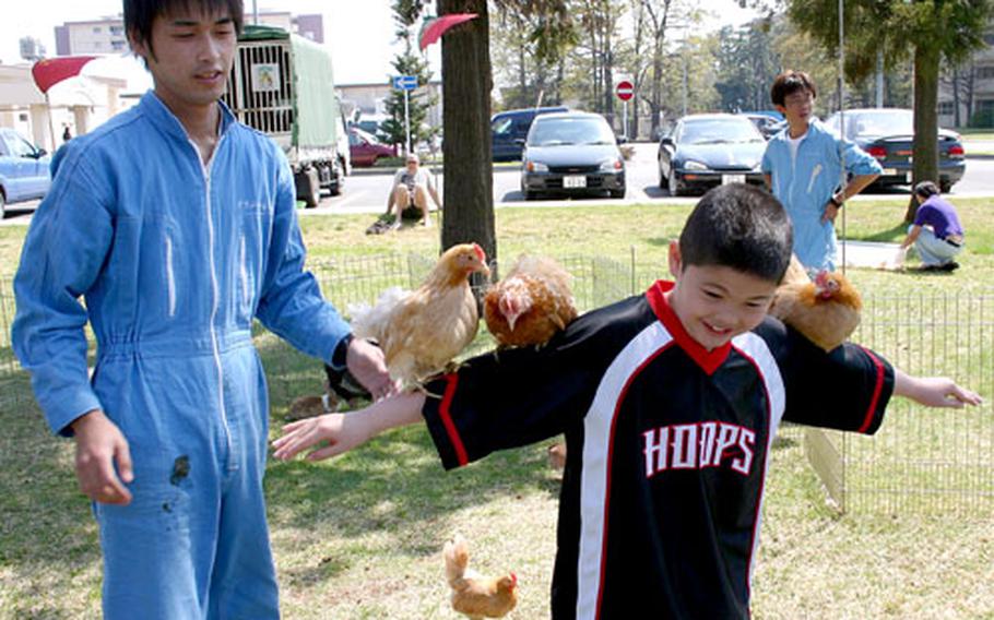 Eight-year-old Taylor Gamm balances three chickens on his shoulders and arms with the help of an Animal Village employee. The petting zoo company brought more than 80 tame animals to the Naval Air Facility Atsugi, Japan, Child Development Center on Friday to give children a chance to interact with animals they don’t normally see on base.