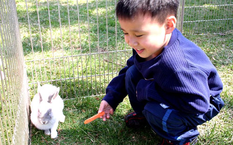 Zachary Lincod, 4, offers a carrot to a rabbit outside the Naval Air Facility Atsugi, Japan, Child Development Center.