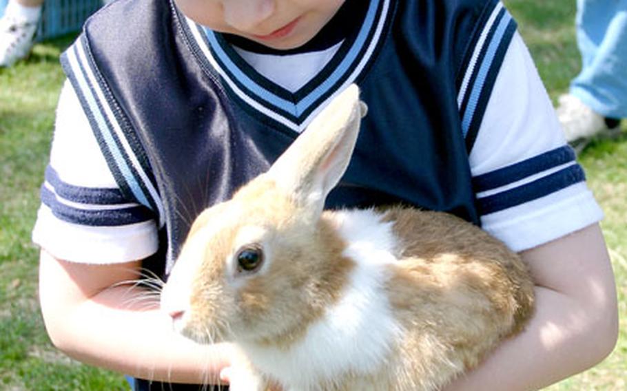 John Borno, 3, makes friends with a rabbit outside the Naval Air Facility Atsugi, Japan, Child Development Center.