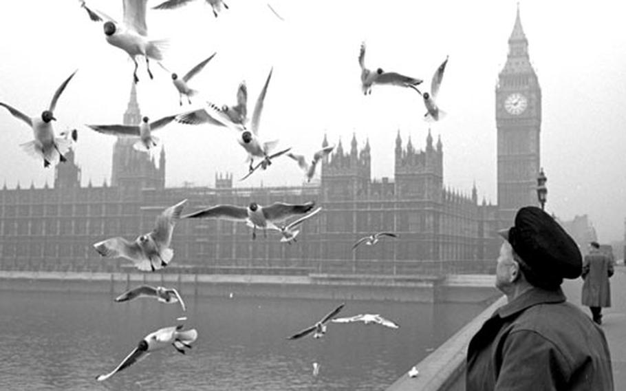 Snowey Tobin, at work and feeding some feathered friends on London&#39;s Westminster Bridge in March, 1964.