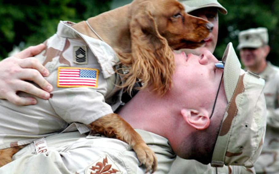 Sgt. Michael O’Neal Harmon, of the 165th Military Intelligence Battalion, is greeted by his dog, named Master Sgt. Oh Riley Harmon, during a Tuesday welcome-home ceremony for the battalion held at Kelley Barracks in Darmstadt, Germany.