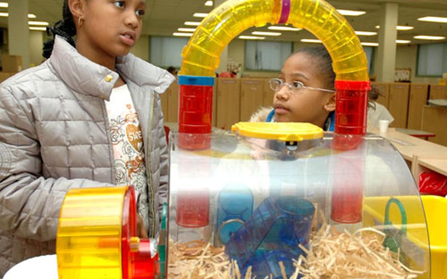 Dominique Crawford, left, and Kiyahna Gay talk about the hamsters and hamster babies at the Child and Youth Services building. Both girls participate in the School-Age Services program.