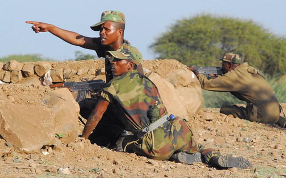 Ethiopian army soldiers practice basic infantry tactics under the instruction of U.S. Army soldiers at the Ethiopian Training Academy in Hurso.