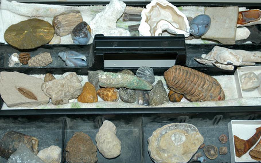 A glimpse of some the fossils, rocks and artifacts belonging to local fossil hunter and school volunteer Herb Bastuscheck of Misawa, Japan.