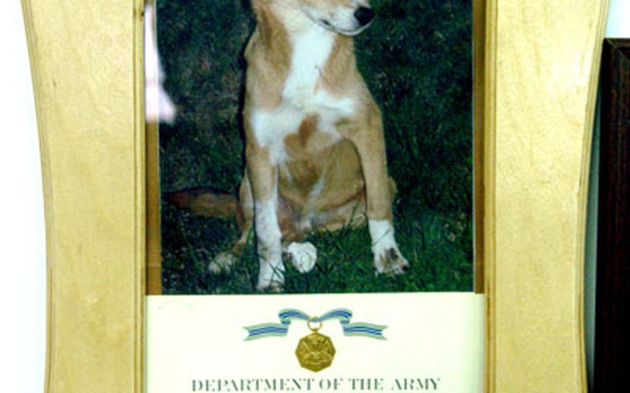 A plaque on the wall at the Krtsanisi Training Area in Georgia recalls Alpha, a dog named after Company A of the first Georgian battalion, which came through the American-led training here last year.