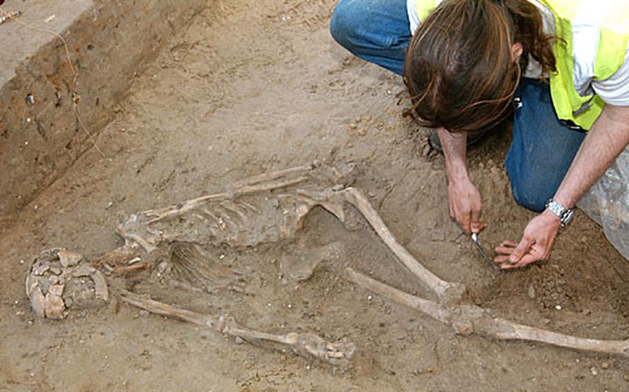 John Craven, project officer from the Suffolk County archaeological service, Wednesday removes the bones of a Roman-era skeleton believed to be about 1,900 years old.