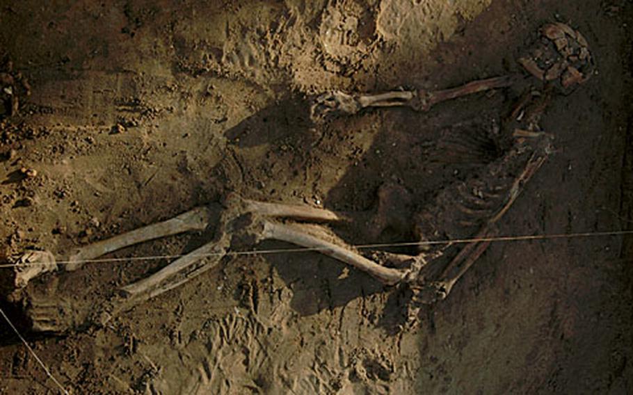 The skeleton of a Roman-era person believed to have been buried about 1,900 years ago lies in a shallow ditch at a building site in Beck Row Wednesday just before archaeologists removed the bones.
