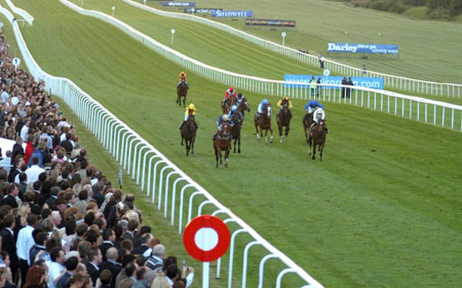 Three race horses make their way down the last furlong to the finish line.