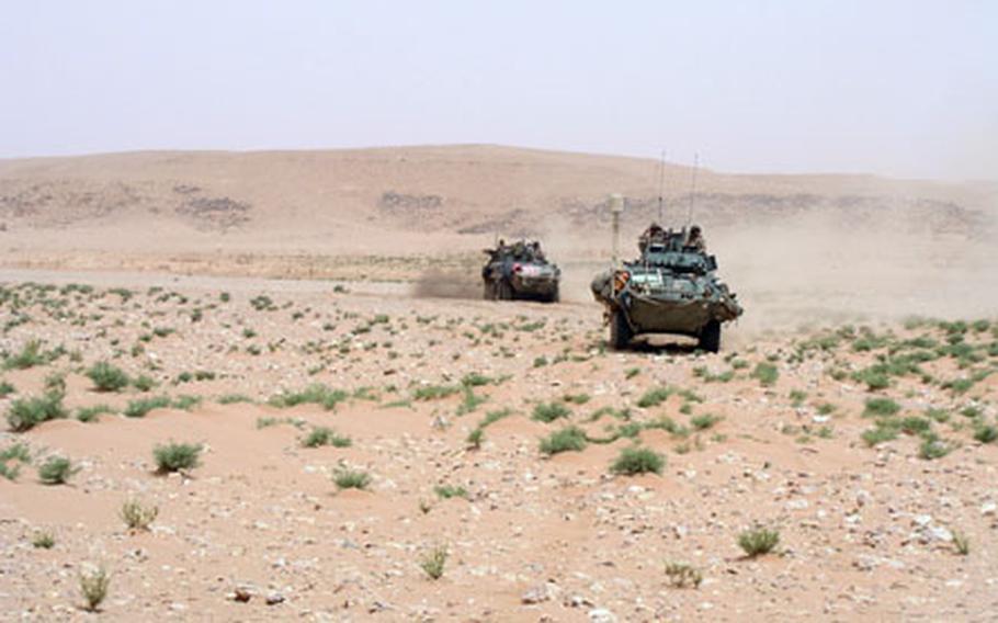 U.S. Marine Corps light armored vehicles last week scour a large desert tract northeast of Rutbah in western Anbar province, Iraq, to check reports that oil pirates may have been using it as an operating base. These vehicles are with Company C, 1st Light Armored Reconnaissance Battalion, part of RCT-2.