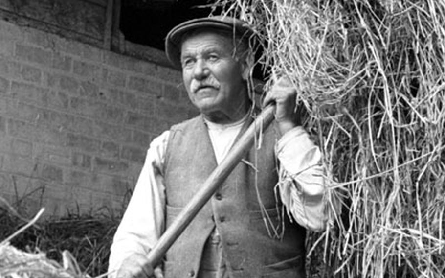 With a herd of over 300 cows, hay was a valuable commodity at the Kiln Farm.