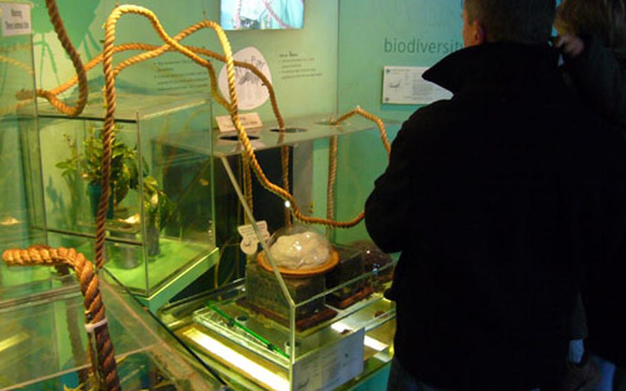 An arrangement of ropes can be found in the Bugs! exhibit. Leaf-cutter ants use the ropes to march from their feeding grounds to their ant farm.