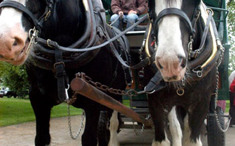 For those not up to walking the Wimpole Estate&#39;s thousands of acres, a horse-drawn buggy is available near the gift shop.