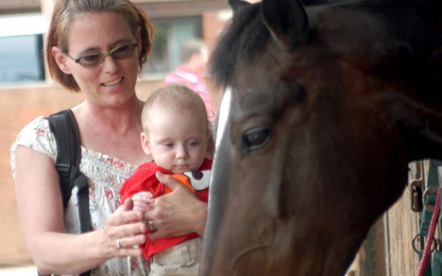 Misti Norfleet and son, Zeke, check up on a horse during Saturday&#39;s reunion for families with children who received care at the neonatal ICU.