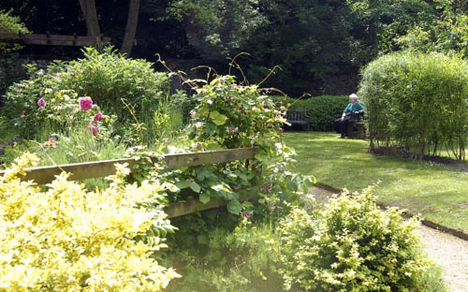 A visitor sits alone in the walled garden at Brandon Country Park. The park can easily be enjoyed alone or with friends and family.