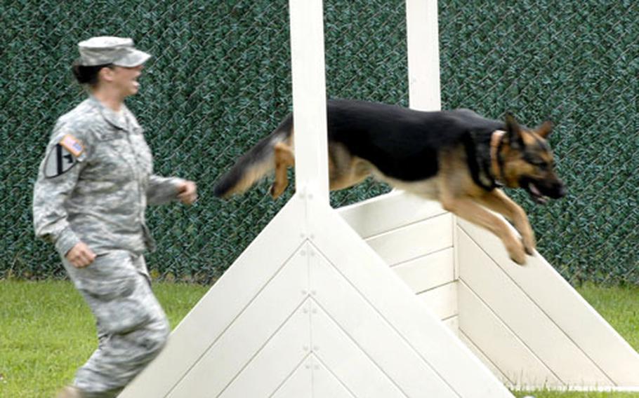 Beny, a 3-year-old German shepherd, leaps over a hurdle Wednesday on the obedience course during the 2008 U.S. Army Europe working dog competition in Miesau, Germany. Beny’s handler is Sgt. Jessica Ruggiero, with the 529th Military Police Company.