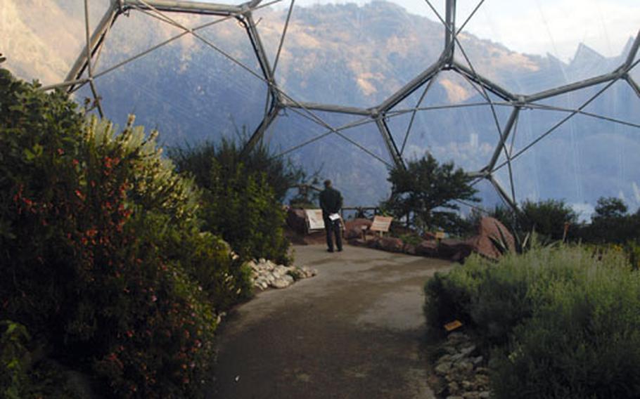 A visitor at the Eden Project admires the extensive varieties of plants and flowers in the "Mediterranean Biome."