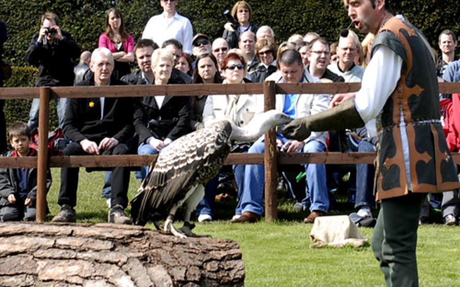 The "Birds of Prey" show at Warwick Castle is one of the many attractions giving it a theme-park feel. Visitors can also enjoy shooting a bow and arrow, learn to sword fight and explore the castle’s Great Hall, which is filled with suits of armor, swords and other weapons.