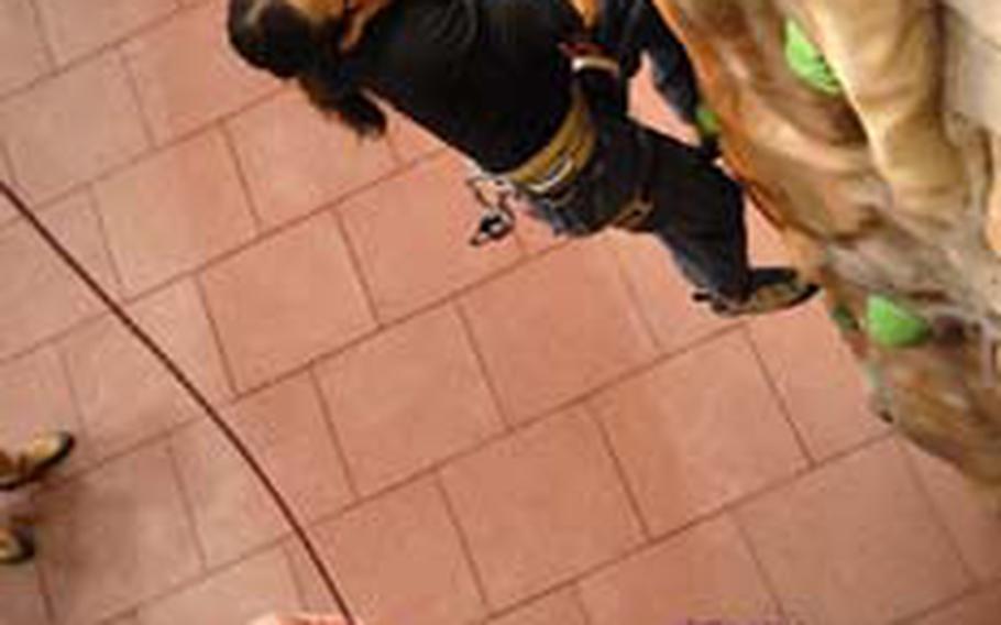 Jerry Leake makes his way up one of Outdoor Recreation&#39;s new climbing walls as Sarah Carlisle gets checked out on belaying technique Friday during an instructor course in the Kaiserslautern Military Community Center.