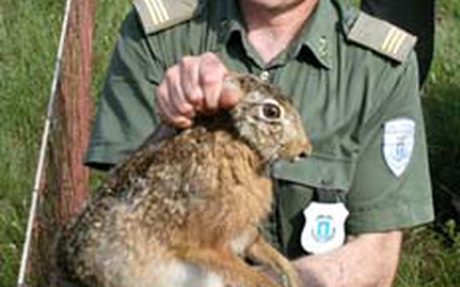 Dario Cester, an Italian park ranger, shows a few American volunteers one of the rabbits they helped capture at Aviano Air Base. The Italian forestali will find new homes for the rabbits in the area.