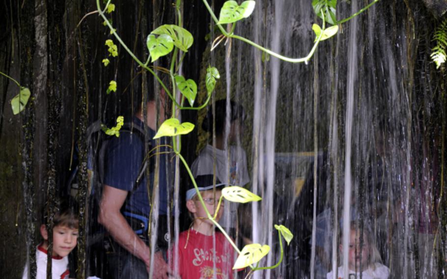 A family peers through a waterfall in the tropical environment of the butterfly house on the island of Mainau in Lake Constance, Germany, on June 4. Butterflies and moths from Africa, Asia and South and Central America live in the enclosure.