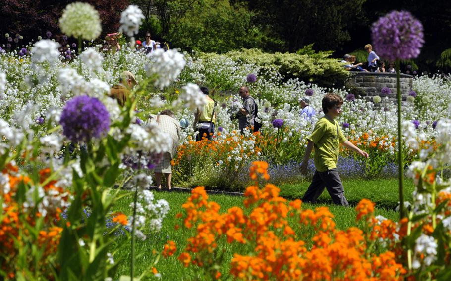 Covered in thousands of species of flowers, the island of Mainau is referred to as the 'flower island' by the locals.