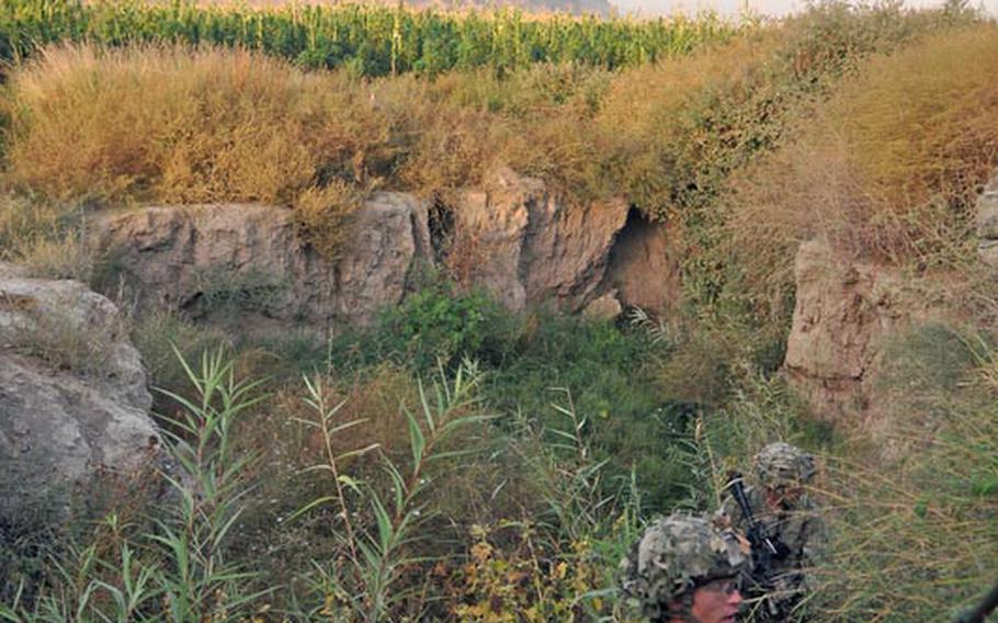 Just after dawn, a soldier climbs out of a gully after searching for weapons caches near the Arghandab River in southern Kandahar. Behind him a field of corn mixed with enormous marijuana plants glows in the early light.