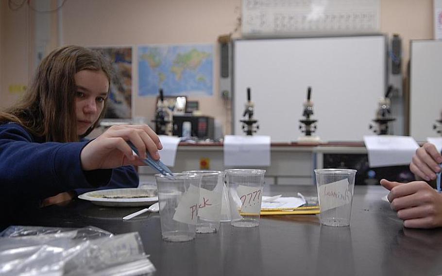 Naomi Fiala, 11, sorts sediment into labeled plastic cups in teacher Tom Oliver's science class at Bitburg Middle School. Oliver's fifth and sixth graders are participating in the Mastodon Matrix Project, helping researchers in the states examine sediment unearthed from a mastodon evacuation site in New York. The project is part of an effort by Defense Department schools to encourage student interest and learning in science and math.