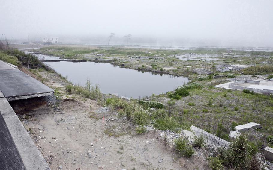 The March 2011 tsunami virtually scoured the beaches of eastern Fukushima prefecture, leaving only the foundations of houses jutting from the sand.