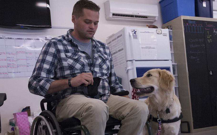 Marshall Peters, a Navy veteran and a service dog training instructor with Warrior Canine Connection, trains Lundy, a 7-month-old golden retriever who will become a future service dog for disabled veterans, on Aug. 10, 2013. Peters teaches wounded warriors with PTSD and TBI to train future service dogs as part of their own therapy.