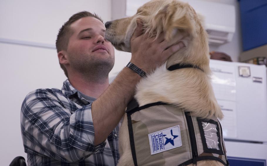 Marshall Peters, a Navy veteran and a service dog training instructor with Warrior Canine Connection, praises Lundy, a 7-month-old golden retriever who will become a future service dog for disabled veterans, on Aug. 10, 2013. Peters teaches wounded warriors with PTSD and TBI to train future service dogs as part of their own therapy.