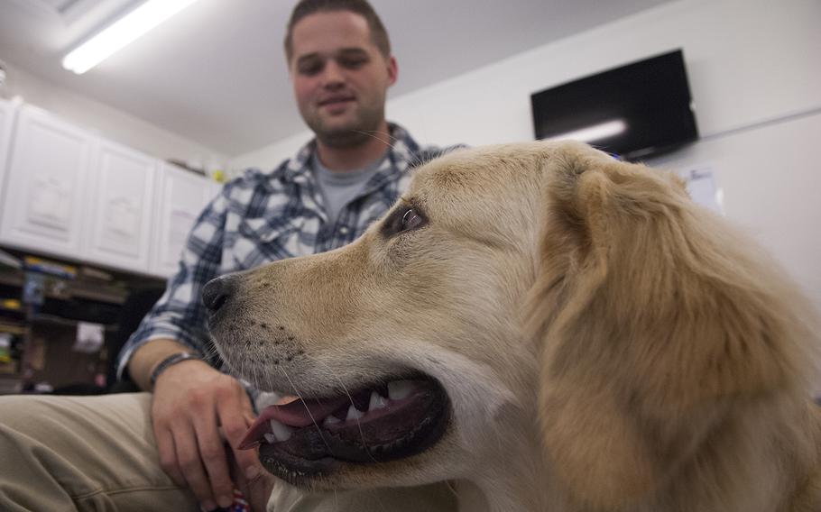 Marshall Peters, a Navy veteran and a service dog training instructor with Warrior Canine Connection, trains Lundy, a 7-month-old golden retriever who will become a future service dog for disabled veterans, on Aug. 10, 2013. Peters teaches wounded warriors with PTSD and TBI to train future service dogs as part of their own therapy.