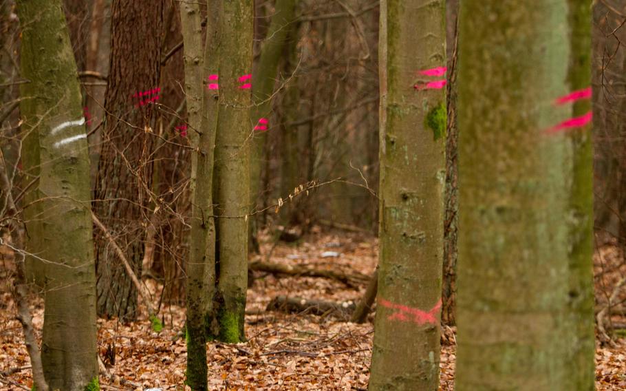 Trees are marked for cutting at Rhine Ordnance Barracks in Kaiserslautern, Germany, where the groundwork for a new $990 million military hospital got underway Monday, Feb. 3, 2014.
