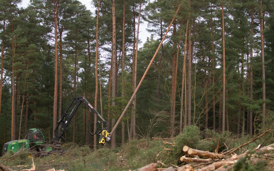 A tree cutter fells a tree before stripping it of its limbs and cutting it into logs on Tuesday, Feb. 4, 2014, at Rhine Ordnance Barracks in Kaiserslautern, Germany, where the groundwork for a new $990 million military hospital began the day before.