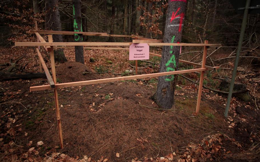Fences to protect ant hills are among the environmental measures taken to protect wildlife at Rhine Ordnance Barracks in Kaiserslautern, Germany, where the groundwork for a new $990 million military hospital got underway Monday, Feb. 3, 2014. The sign reads: "Ant Hill. Species protection. Do not destroy."