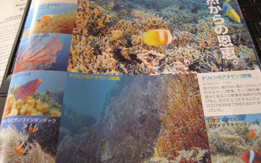 A brochure presented to the media in Tokyo on Feb. 13, 2014, by Nago Mayor Susumu Inamine portrays the waters near Henoko, where the U.S. and Japan have agreed to relocate a Marine helicopter base, as a tropical paradise.