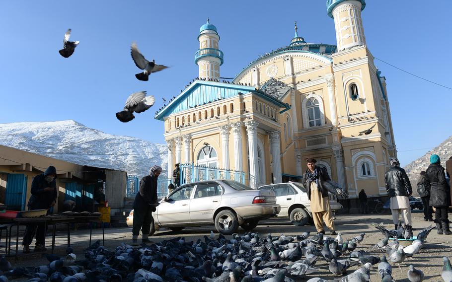 8:39 a.m. Pigeons outside the Shah-e Doshamshera Mosque, on the banks of the Kabul River, one of the capital's few remaining historic buildings. 