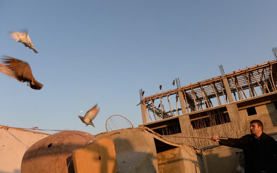 5:06 p.m. A man directs pigeons from his rooftop in the Qale Musa neighborhood of central Kabul. Just before sunset, many such pigeon handlers will send their birds on circular flights above the city, a practice known as kaftar bazi (dove play). 