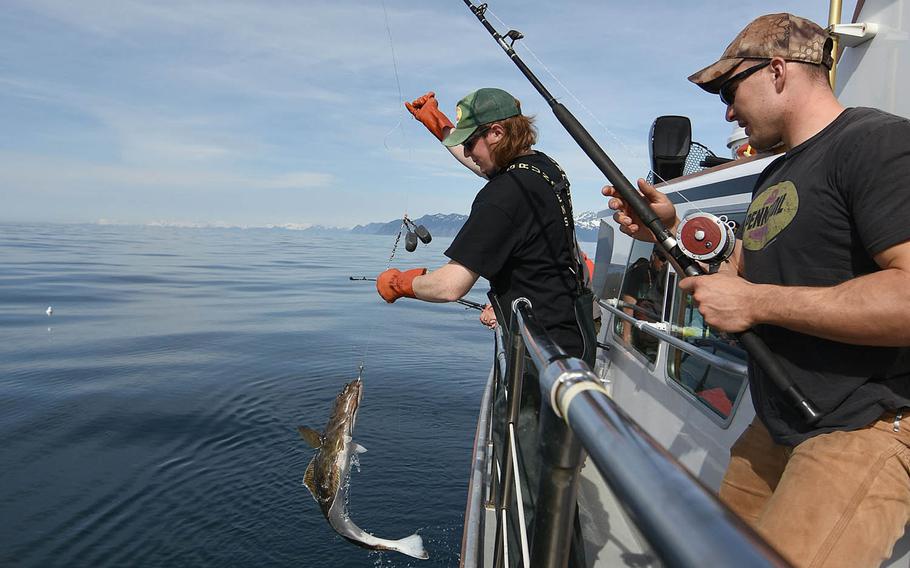 Volunteer deck hand Kyle Collins lands a small halibut for Air Force Staff Sgt. Parker Dalla in the 10th annual Armed Services Combat Fishing Tournament in Seward, Alaska, May 26, 2016. The tournament, hosted by the city of Seward and the Armed Services YMCA, gave more than 200 military anglers stationed in Alaska a free day of halibut fishing to thank them for their service.