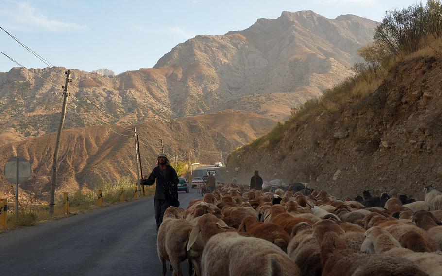 Men herd goats along the road through the Panjshir Valley on Oct. 13, 2016.